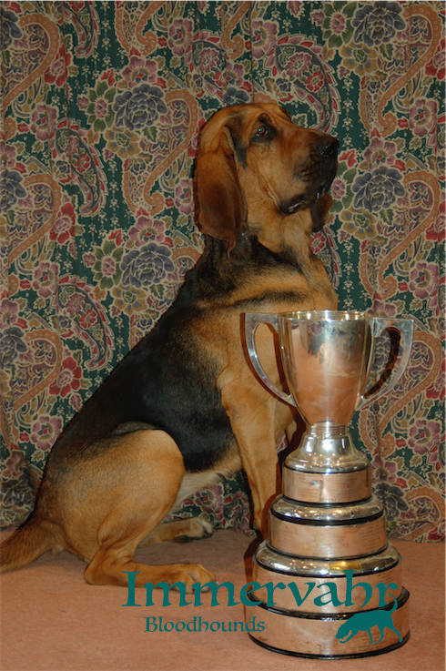 novice first prize for susie