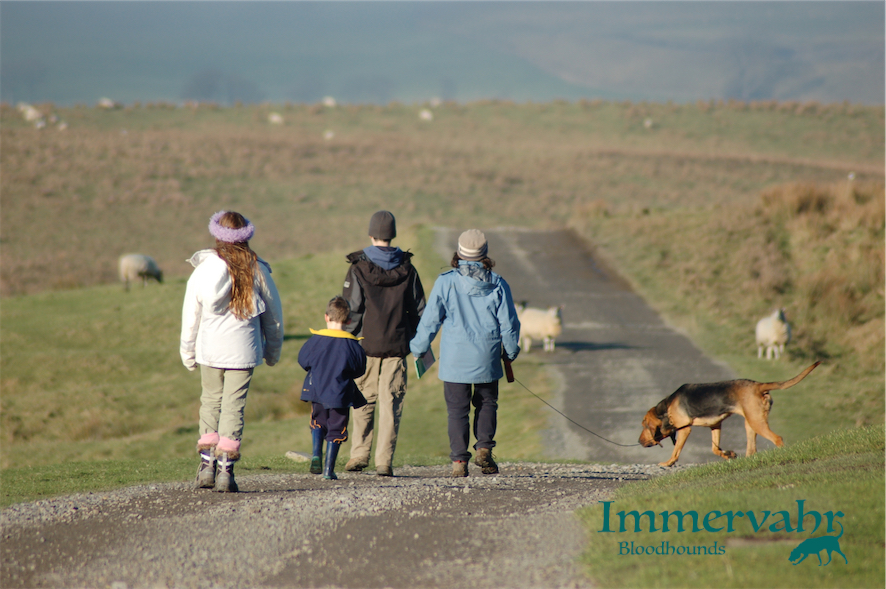 family walk with dog